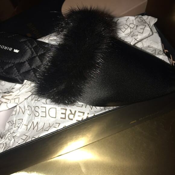 Birdies the dove slides - Picture 6 of 8